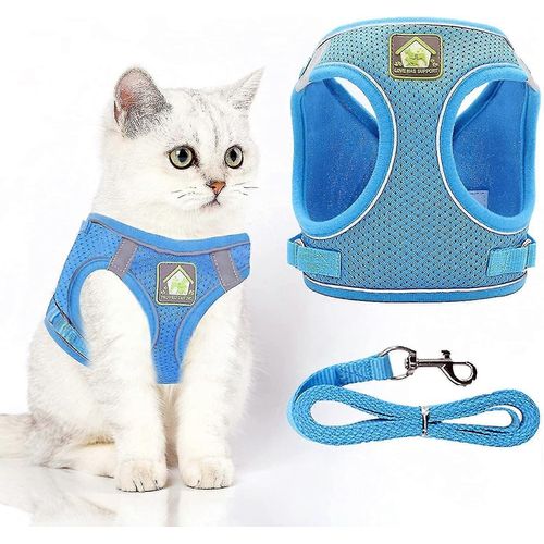 Harnais Et Laisse Pour Chat Avec Laisse Pour Chaton : Ensemble Gilet Réglable Anti-Fuite Pour Chats Compatibles