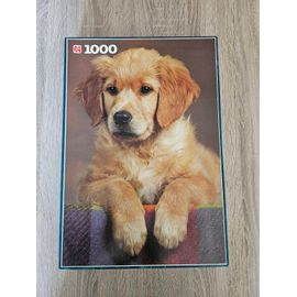 Puzzle 1000 pièces Jumbo Golden Retriever Puppy