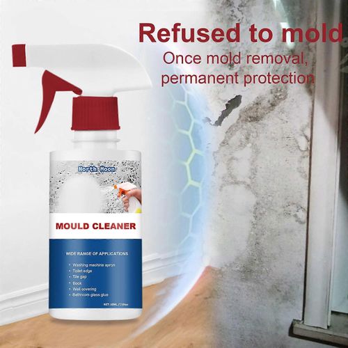 Concrobium Mold Control Nettoyants ménagers Mur Dissolvant de moisissure pour bureau à domicile
