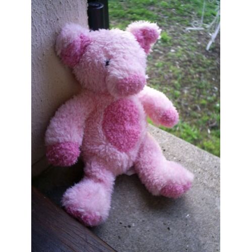 Peluche Ours Play & Learn