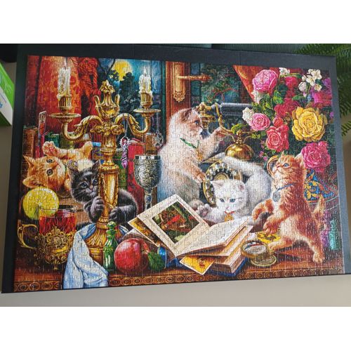 puzzle chats sorciers 1000 pièces (castorland)