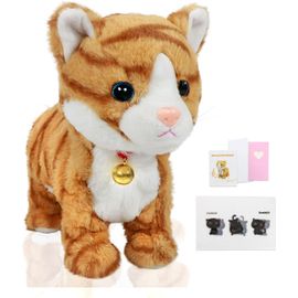 Robot Cat Chat Robot Chat Kitty Jouet