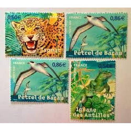 Série Nature (22) Faune En Voie De Disparition Dans Les Départements D'Outre Mer : Iguane, Racoon, Jaguar, Pétrel Série Complète Année 2007 N° 4033 4034 4035 4036 Yvert Et Tellier Luxe