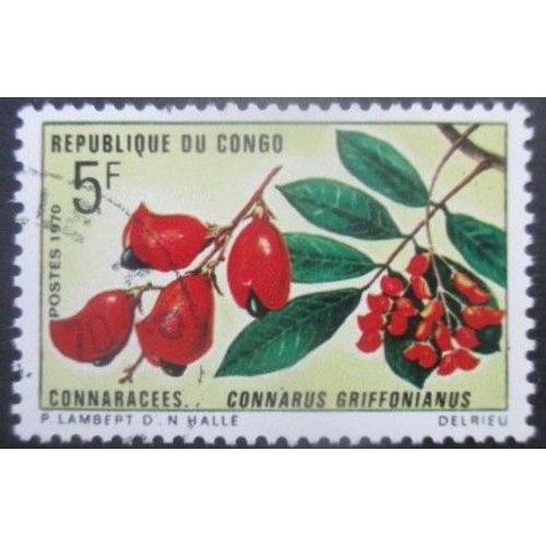 Congo N°271 Oblitéré