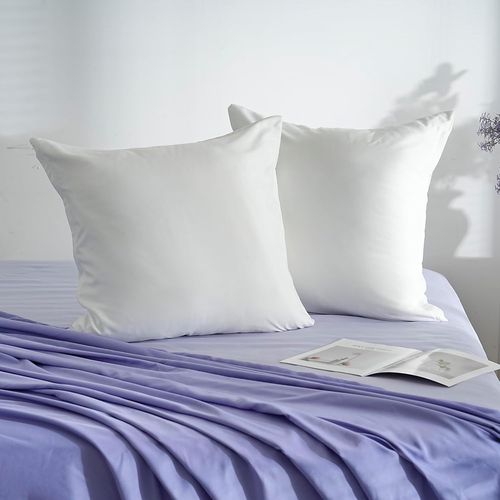 Tianyi-18 Couleurs Lot 2 Taie D'oreiller 45x45 Cm Blanc Housse Oreiller Coussin Pour Canapé Lit Fermeture Éclair Anti-Acariens Hypoallergénique Protège Oreiller Zip Microfibre