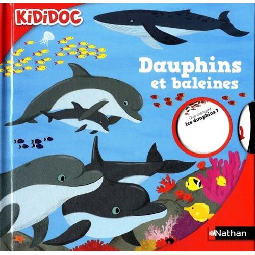 Dauphins Et Baleines