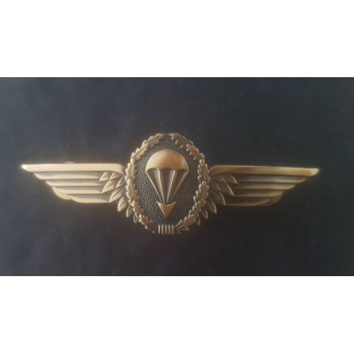 Brevet Parachutiste Allemand