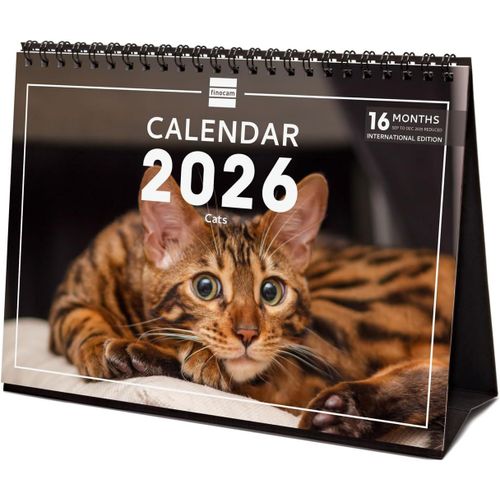 Teppc-\U2013 Calendrier De Bureau 2026 1 Mois Par Page Janvier \U2013 Décembre 2026 + Sept.-Déc. 2025 (4 Mois) Réduits | Calendrier 2026 | Images Cats \U2013 International