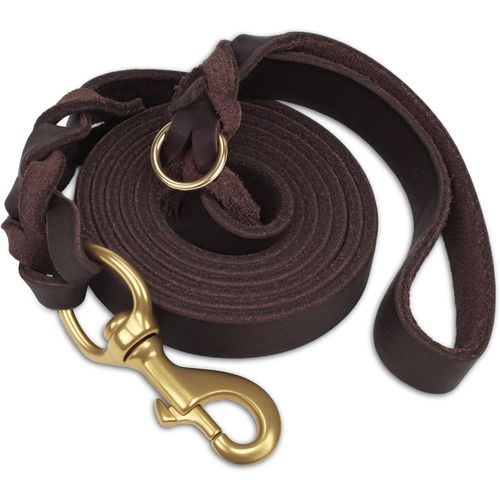 Teppc-Laisse Chien Cuir, Laisse En Cuir Robuste Pour Chien Avec Crochet En Laiton, Douce Et Durable, Adaptée Aux Petits, Moyens Et Grands Chiens¿Marron, 120cm×2cm¿