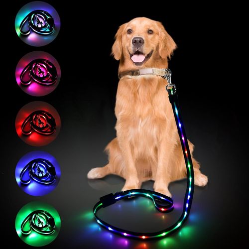 Led Laisse Chien, 12 Modes D'éclairage Laisse De Chien, 1,2 M, Usb Rechargeable Lumineux Imperméable Longe Pour Chien, Convient Pour Les Petits Et Grands Animaux Domestiques