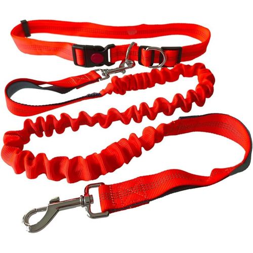 Teppc-Laisse Chien Mains Libres Orange, Ceinture Ajustable Et Laisse Élastique Rétractable À Double Poignée, Laisse Chien Jogging Avec Coutures Réfléchissantes (Poignée Gris)