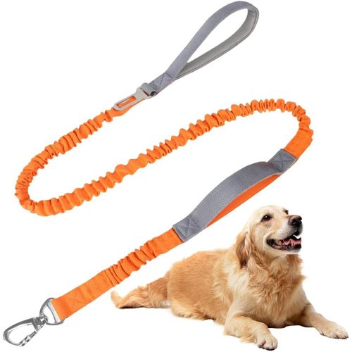 Teppc-Longe Pour Chien, Laisse Chien, Longe Chien, Laisse Pour Chien Avec Mousqueton Verrouillable, Longe Robuste Pour Petits, Moyens Et Grands Chiens, Orange