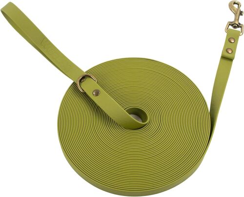 Longe Pour Chien - Laisse De Dressage De Style Classique Vintage Vert 5 M