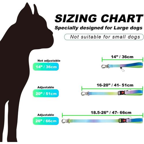 Laisse De Dressage Pour Chien, Ajustable Courte Laisse Chien 66 Cm Avec Une Boucle En Métal Robuste Et Poignée Rembourrée (Dégradé Bleu - Rose)