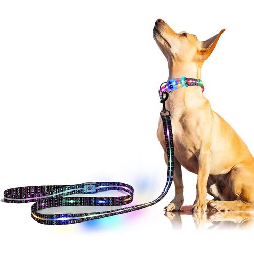 Teppc-Laisse Lumineuse Led Pour Chien \U2013 Rechargeable Laisse Chien Led,1,5 M, 3 Modes D'éclairage Pour Chiens De Moyenne Et Grande Taille Marchant La Nuit (L:1.5m/W:25mm)