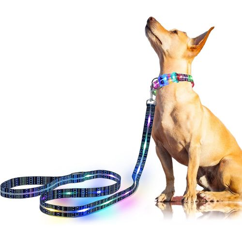 Teppc-Laisse Lumineuse Led Pour Chien ¿ Rechargeable Laisse Chien Led,1,5 M, 3 Modes D'éclairage Pour Chiens De Moyenne Et Grande Taille Marchant La Nuit (L:1.5m/W:25mm)