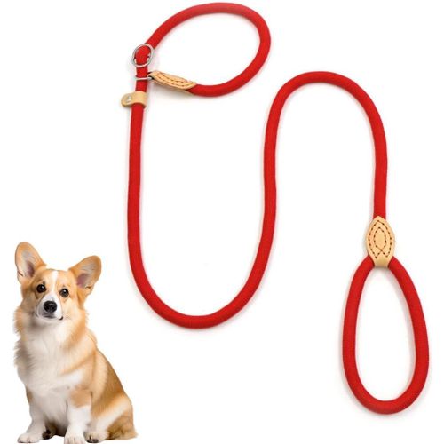 Teppc-Laisse Chien Corde 1.3cm X 150cm Laisse Pour Chien En Nylon Avec Poignée Rembourrée Laisse Coulissante Aux Chiot, Petits, Moyens Et Gros Chiens
