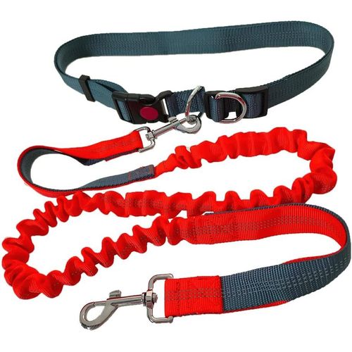 Teppc-Laisse Chien Mains Libres, Ceinture Ajustable Gris Et Laisse Élastique Rétractable À Double Poignée Orange, Laisse Chien Jogging Avec Coutures Réfléchissantes