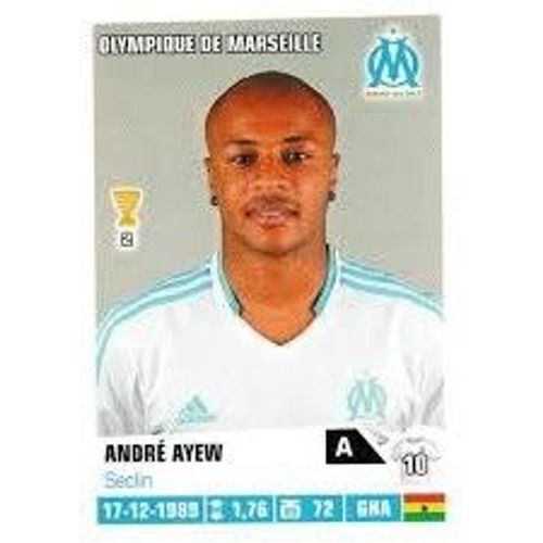 Vignette Foot 2013-2014 André Ayew 210