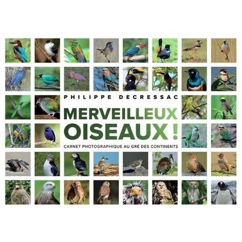 Merveilleux Oiseaux ! - Carnet Photographique Au Gré Des Continents