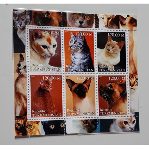 Plaque Originale De 6 Timbres Republic Turkemistan Valeur Faciale 120.00 M Chaque Représentant Des Chats - Timbres Non Détachés Et Non Oblitérés