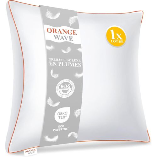 Kalanka-Oreiller Plume 60x60 - Coussin De Luxe 60x60 Cm En Duvet Et Plume, 1200g De Moelleux, Premium Confort Oreiller Ergonomique, Certifié Rds Et Oeko-Tex Pour Un Soutien Optimal