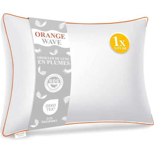 Kalanka-Oreiller Plume 50x70 - Coussin De Luxe 50x70 Cm En Duvet Et Plume, 1200g De Moelleux, Premium Confort Oreiller Ergonomique, Certifié Rds Et Oeko-Tex Pour Un Soutien Optimal