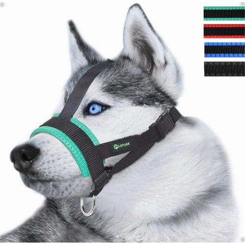 Pata-Muselière En Nylon Réglable Pour Petit Moyen Grand Chien, Muselière Pour Chien Réglable, Évite Les Morsures, La Mastication Et Les Aboiements (M,Vert)