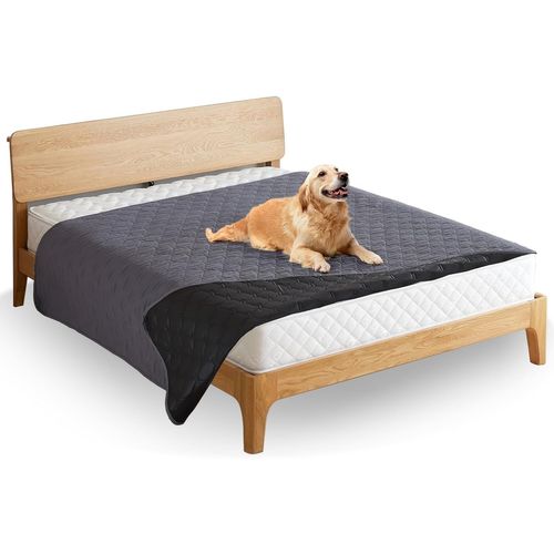 Pata-Tapis Chien Lavable,Tapis Absorbant Chien,16 Couleurs Et Tailles À Choisir, Résistant Et Abrasion-Résistant, Pour Protéger Efficacement Les Canapés, Les Lits, Les Sols (Gris Foncé, Xl)