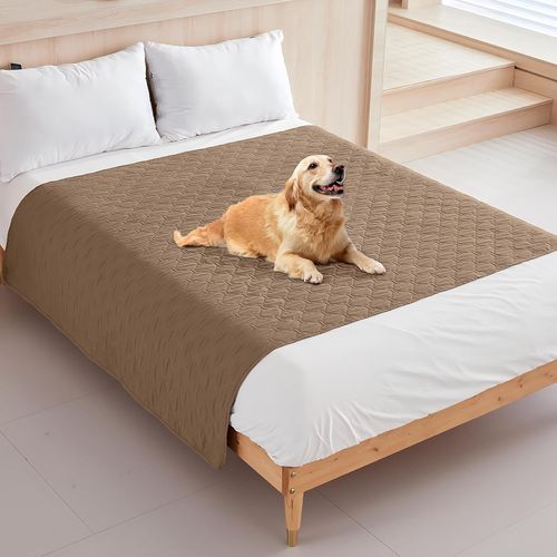 Pata-Tapis Chien Lavable,Tapis Absorbant Chien,16 Couleurs Et Tailles À Choisir, Résistant Et Abrasion-Résistant, Pour Protéger Efficacement Les Canapés, Les Lits, Les Sols (Kaki, Xl)