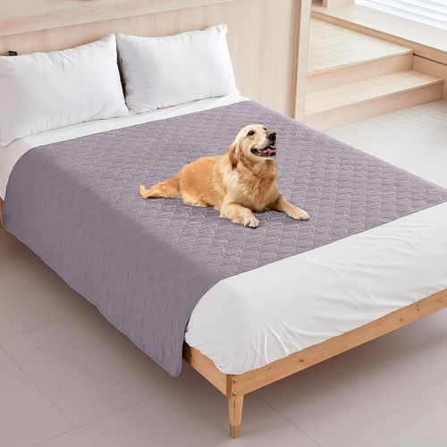 Pata-Tapis Chien Lavable,Tapis Absorbant Chien,16 Couleurs Et Tailles À Choisir, Résistant Et Abrasion-Résistant, Pour Protéger Efficacement Les Canapés, Les Lits, Les Sols (Gris Clair, S)