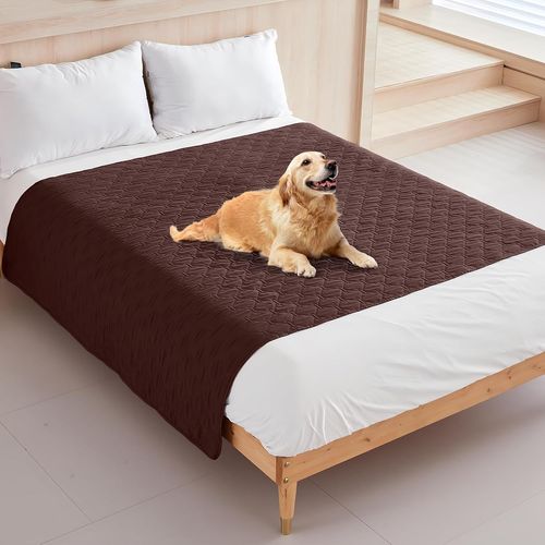 Pata-Tapis Chien Lavable,Tapis Absorbant Chien,16 Couleurs Et Tailles À Choisir, Résistant Et Abrasion-Résistant, Pour Protéger Efficacement Les Canapés, Les Lits, Les Sols (Marron, Xl)