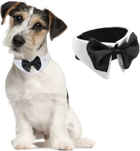 Collier Formel Avec Noeud Papillon Pour Animal Domestique, 1 Pièce Tux Blanc, Collier Réglable Avec Noeud Papillon Pour Chiens, Chats, Mariage, Anniversaire, Tour De Cou De 73,6 À 78,7 Cm