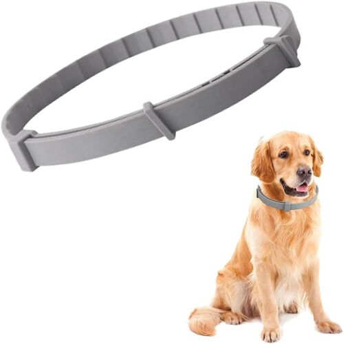 1 Unité Chien Collier Anti Puces Et Anti Tiques Haute Qualité, Collier Antiparasite Pour Chien, 8 Mois De Protection, 63cm Réglable Toutes Tailles, 100% Naturel, Imperméable Déperlant