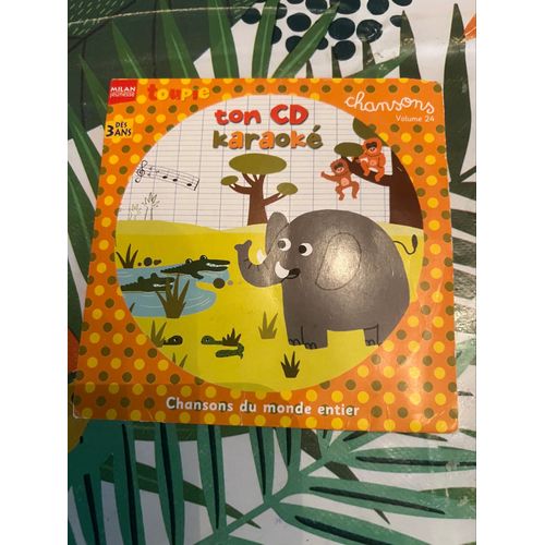 Cd Karaoké Chanson Du Monde Entier Vol 24 Milan Jeunesse