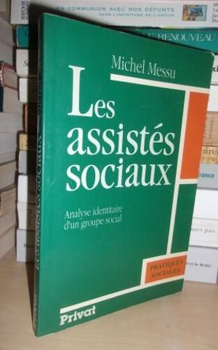 Les Assistes Sociaux : Analyse Identitaire D'un Groupe Social