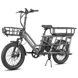 Vélo Utilitaire Électrique Fafrees Ff20 Cuv, Familial, Double Batterie, Gris