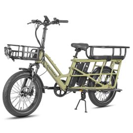 Vélo Utilitaire Électrique Fafrees Ff20 Cuv, Familial, Double Batterie, Vert