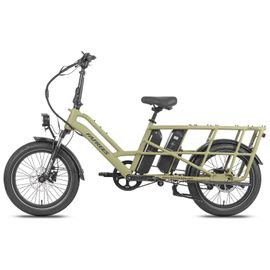 Vélo Utilitaire Électrique Fafrees Ff20 Cuv, Familial, Double Batterie, Vert