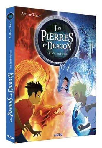Les Pierres De Dragon - Tome 1 - La Métamorphose