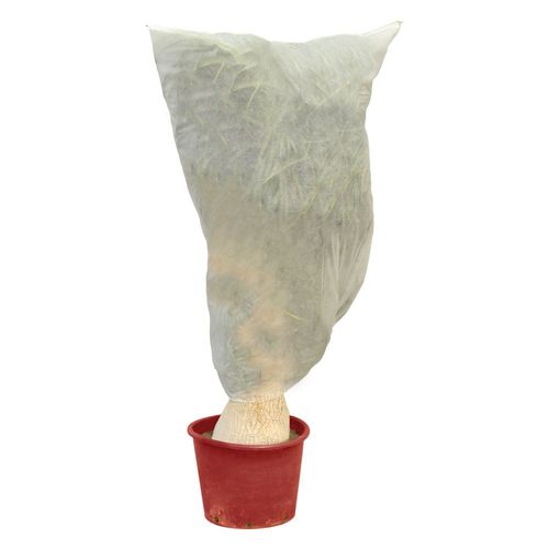 Housse d'hivernage - 2 X 2,5 M - lot de 3