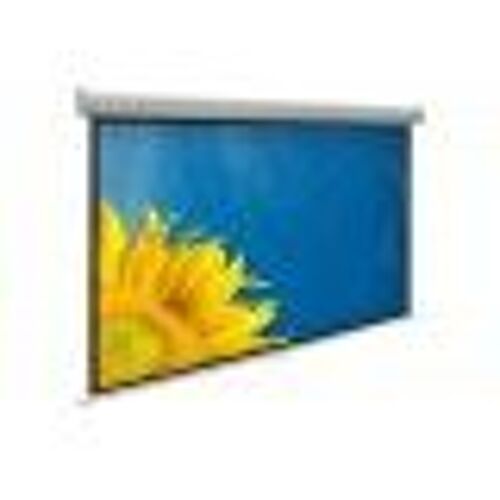 Wallmount Screen For Video Projector 4:3 100"-