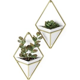Asfasfq-Trigg Jardinière Suspendue Et Décoration Murale Géométrique Pour Petite Plante. Plante Succulente Et Bien Plus Encore. Blanc/Laiton. Lot De 2