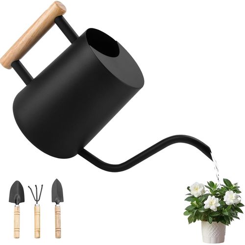 Arrosoir en Acier Inoxydable,1L Arrosoir pour Plantes D'intérieur,Arrosoir Petit avec Long Bec et Outils de Jardinage en Pot,Poignée en Bois Confortable,Arrosoir Plante pour Fleurs de Jardin