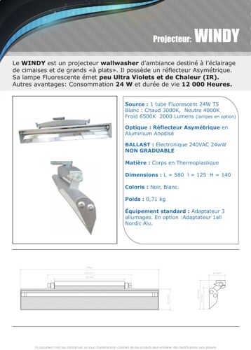 Projecteur Wall-Washer Windy Professionel Pour Galeries D'art Et Musées