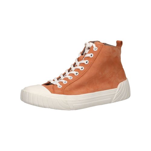 Baskets Hautes