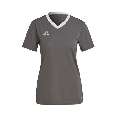 Maillot 'entrada 22'