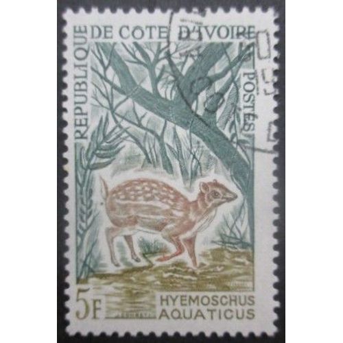 Cote D'Ivoire N°214 Chevrotain Oblitéré