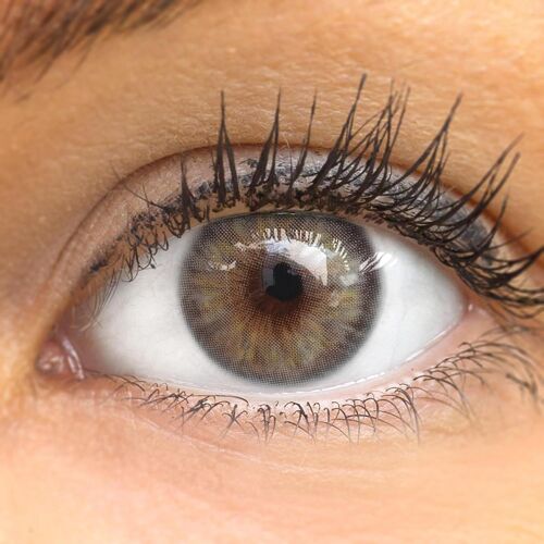 Lentilles De Couleur Grigie Naturelles Colorées Très Haute Opacité (Avila Gray) + Étuis À Lentilles De Contact 1 Paire (2 Pièces) 90 Jours Sans Correction 0,00 Dioptries 