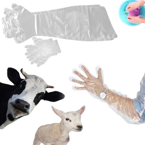 Gant Vétérinaire,50pcs Gant Jetables,Gants Jetables À Long Bras,Gants Longs En Plastique,Imperméables Transparents,Pour Vétérinaire,Éleveur